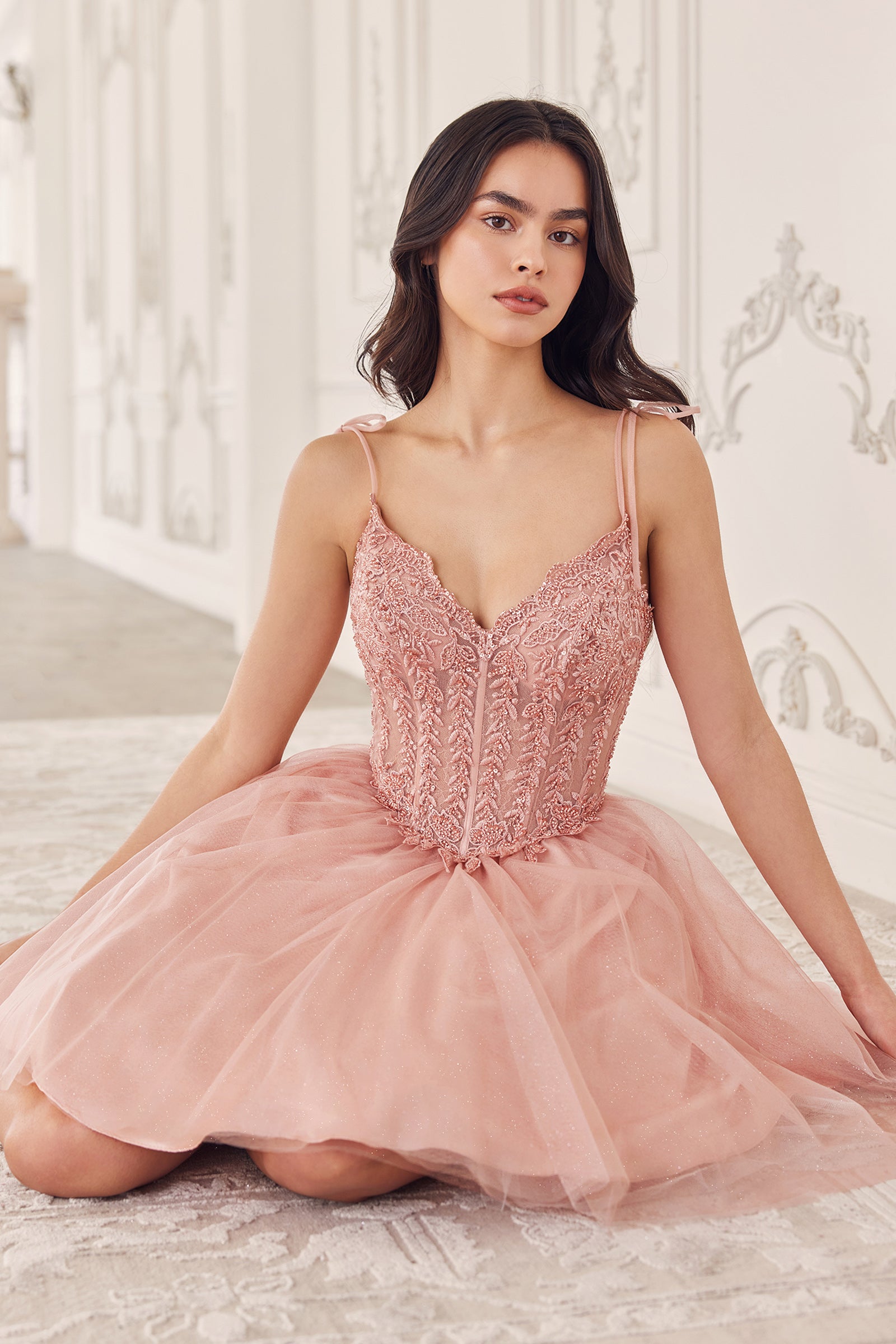 Embellished Corset Bodice Glitter Tulle Short Dress