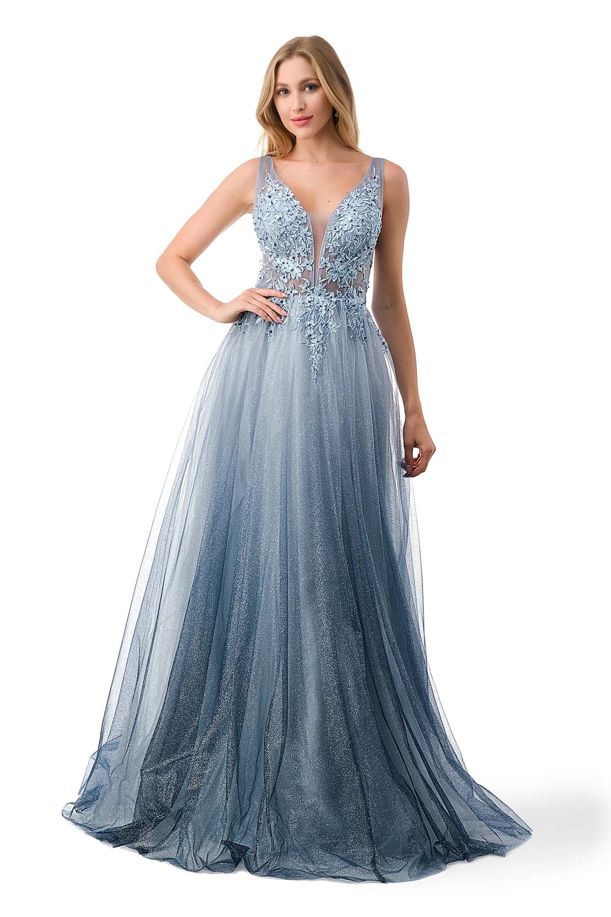 Embellished Floral Applique Ombre Tulle Dress