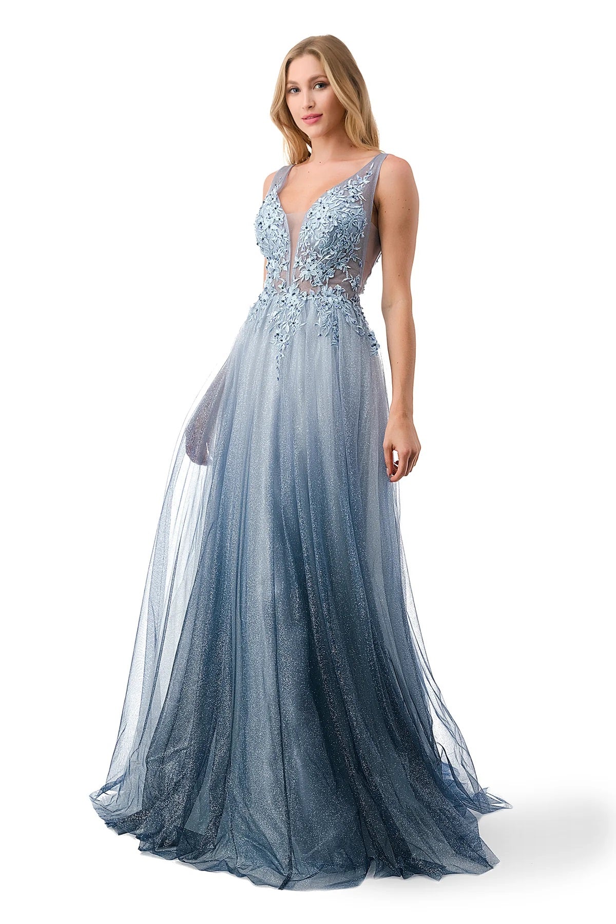 Embellished Floral Applique Ombre Tulle Dress