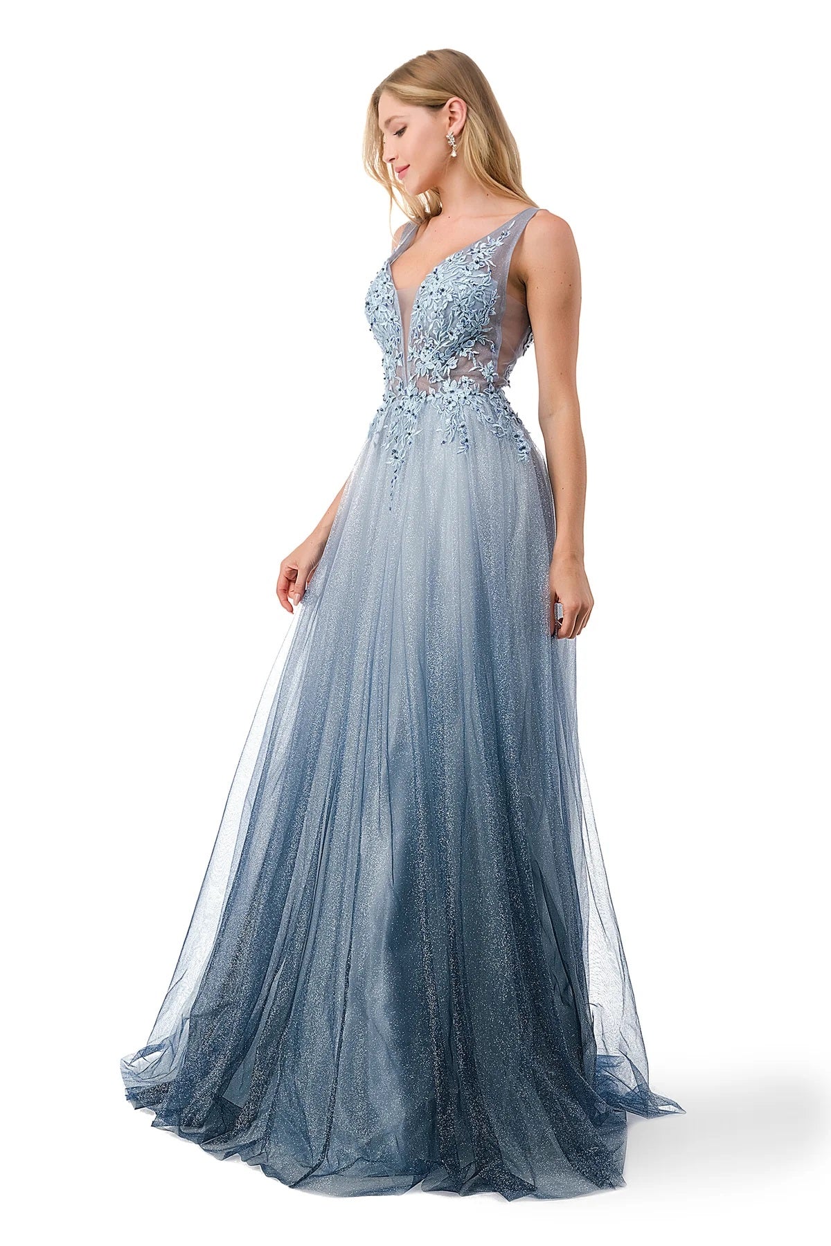 Embellished Floral Applique Ombre Tulle Dress