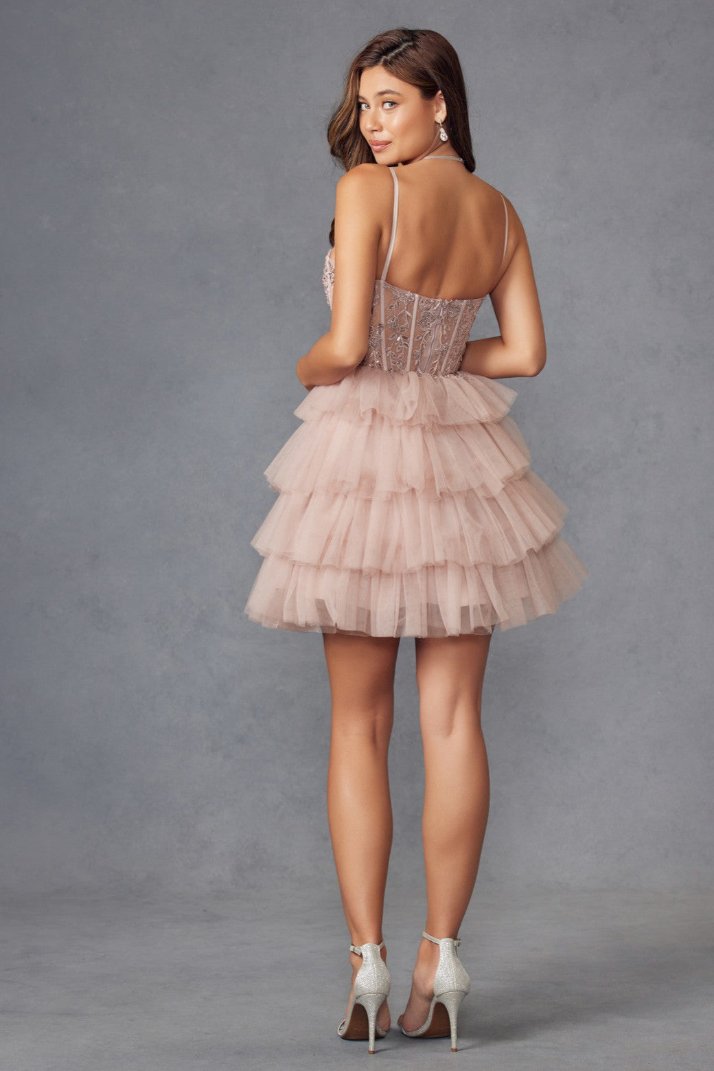 Embroidered Corset Bodice Ruffled Tulle Short Dress