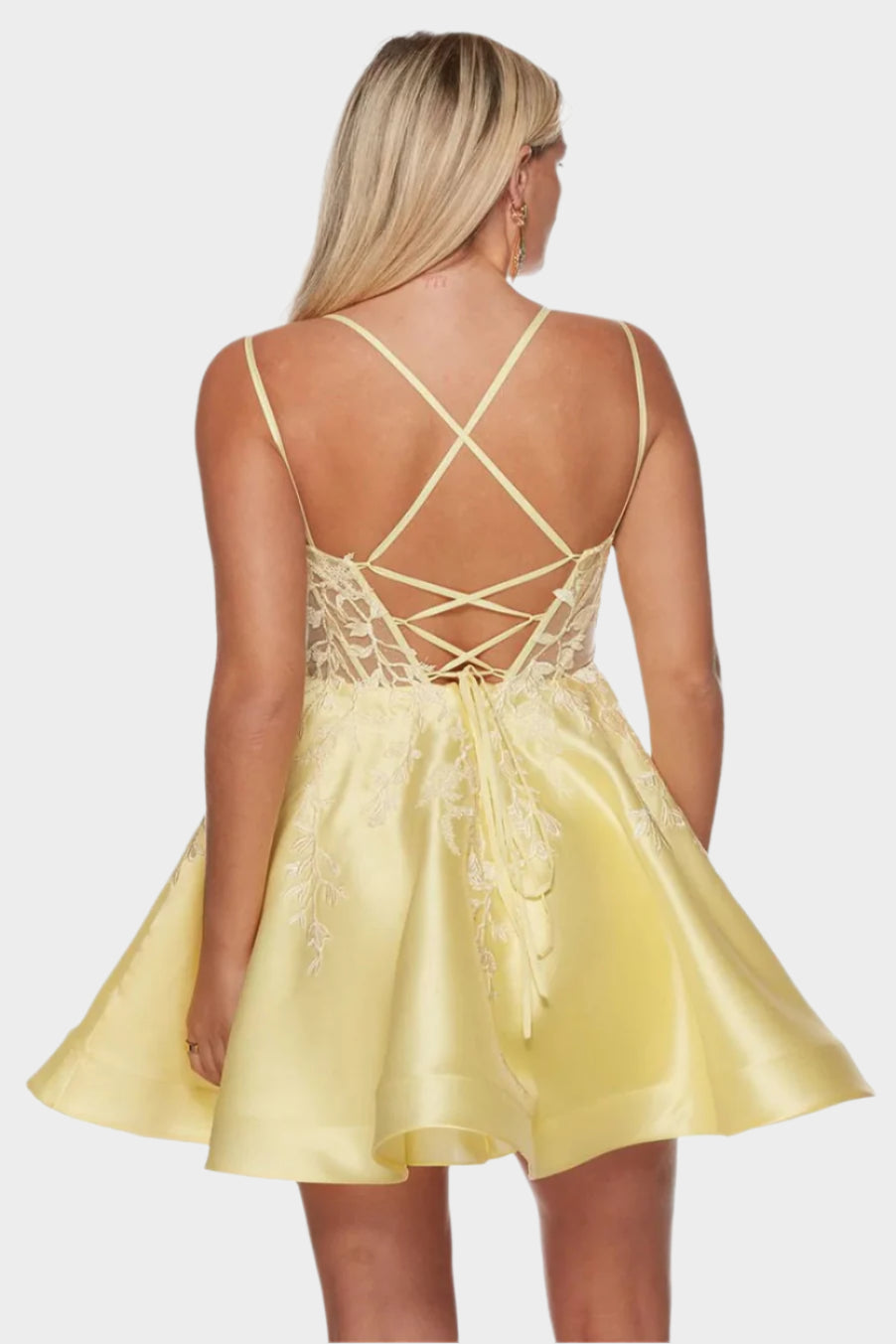 Embroidered Illusion Bodice Short Dress