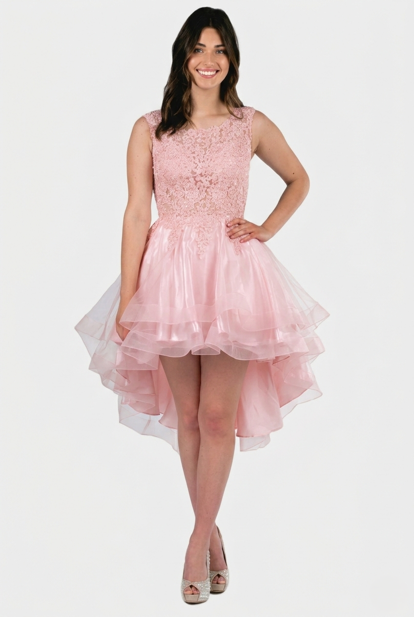Embroidered Layered Tulle Hi-Lo Dress