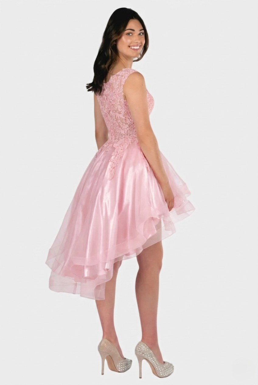 Embroidered Layered Tulle Hi-Lo Dress