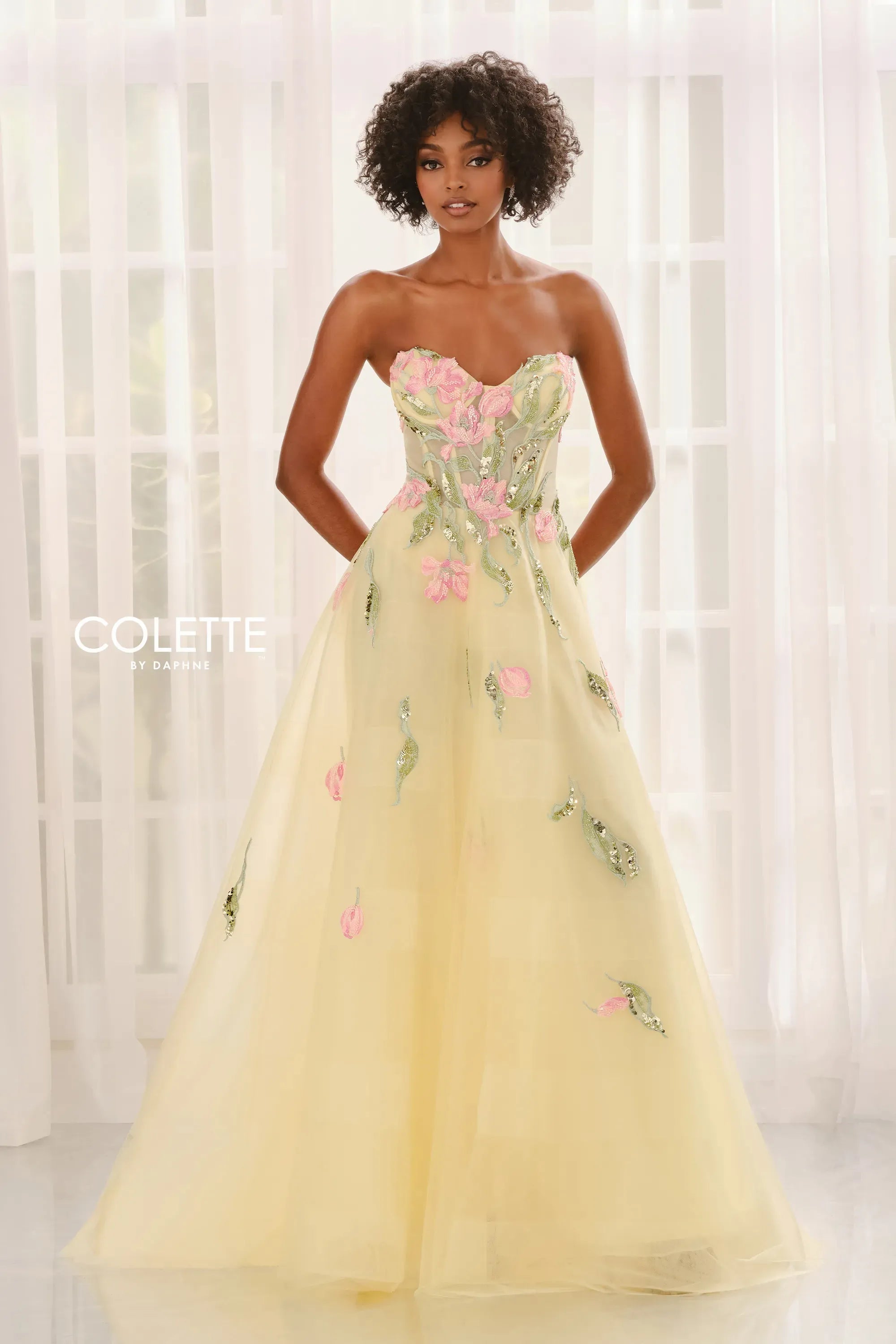 Fairytale Organza Floral Applique Ball Gown | Lizzy's by Cathy Allan