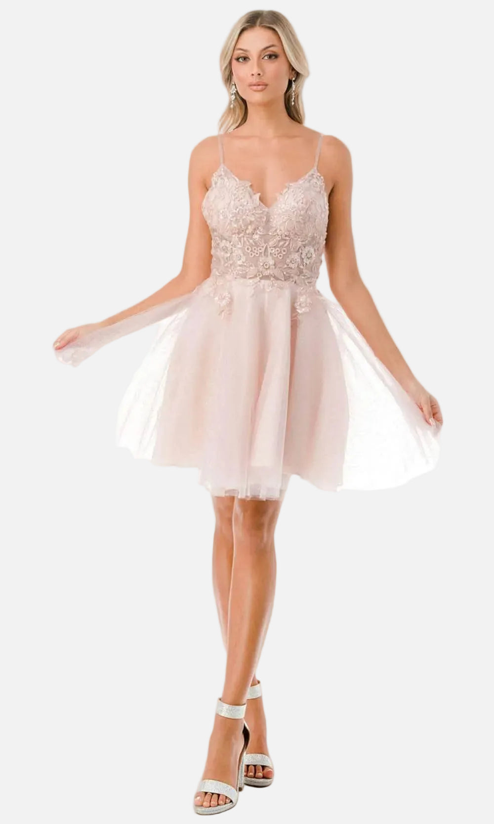 Feminine Embroidered Illusion Short Dress