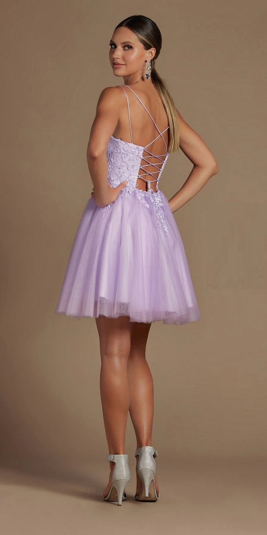 Embroidered Corset Back Short Dress