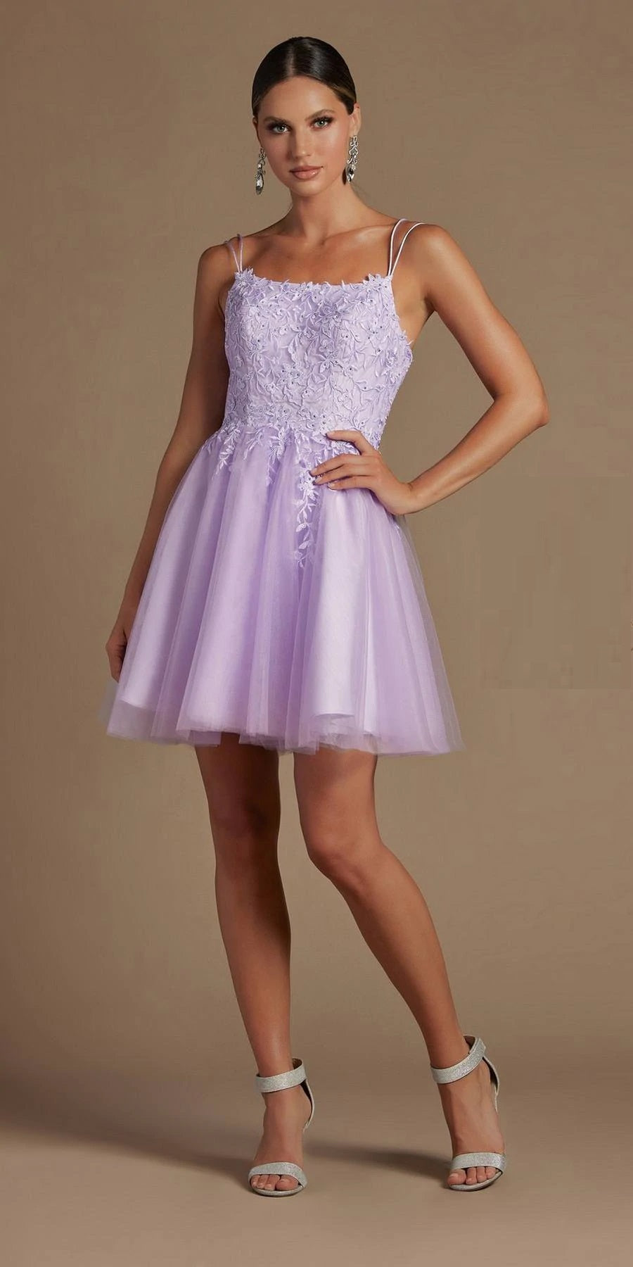 Embroidered Corset Back Short Dress