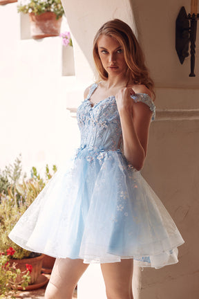 Butterfly Applique Short Glitter Tulle Dress