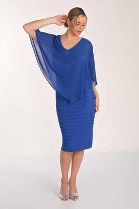 Chiffon Overlay V-Neck Wide Pleat Dress