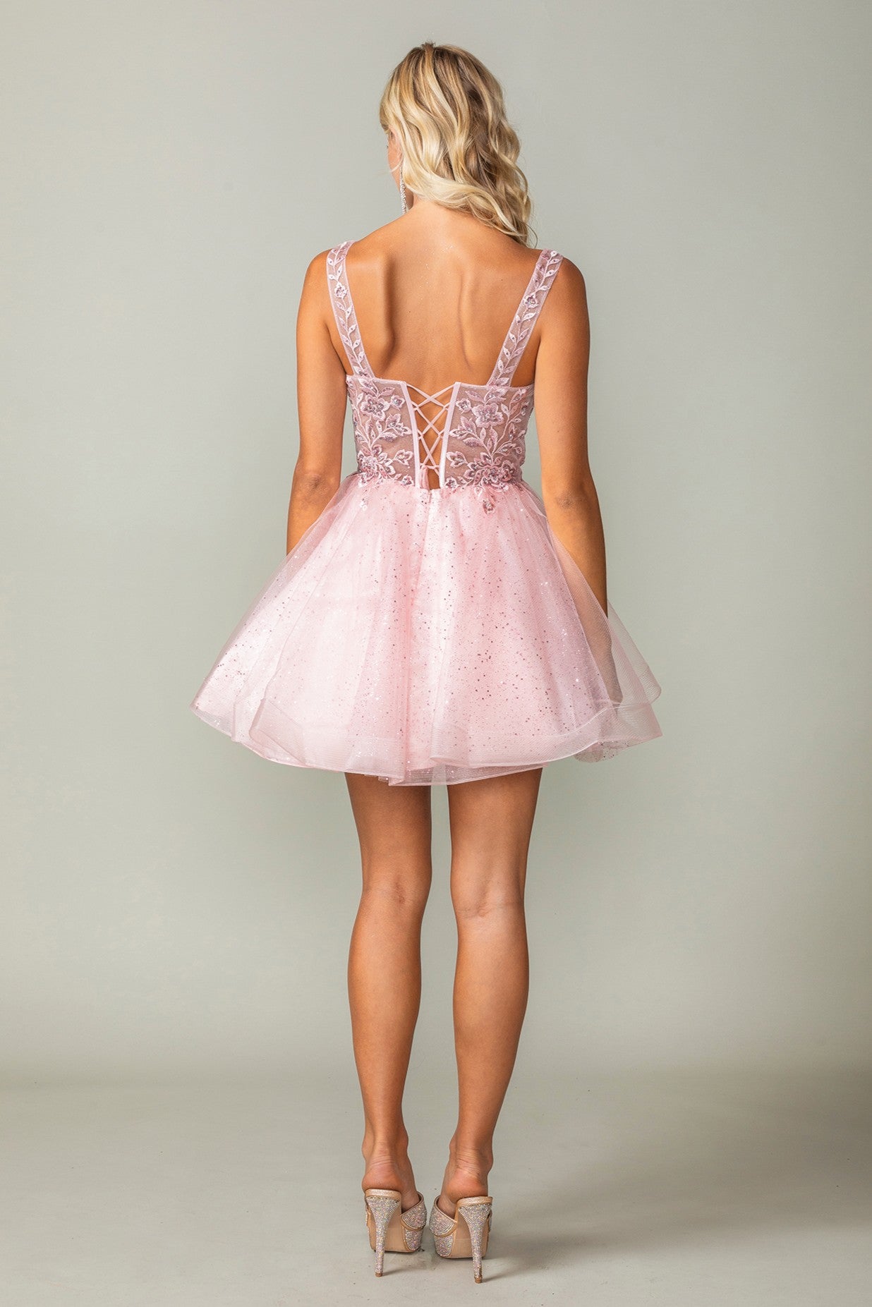 Delicate Embroidered Sparkle Tulle Short Dress