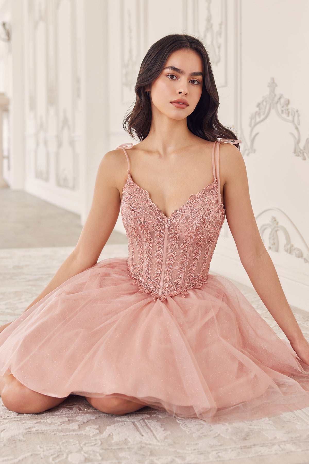 Embellished Corset Bodice Glitter Tulle Short Dress
