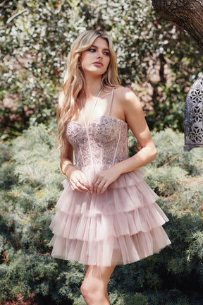 Embroidered Corset Bodice Ruffled Tulle Short Dress