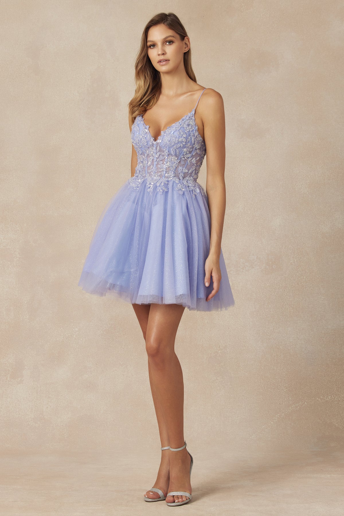 Embroidered and Beaded Glitter Tulle Short Dress