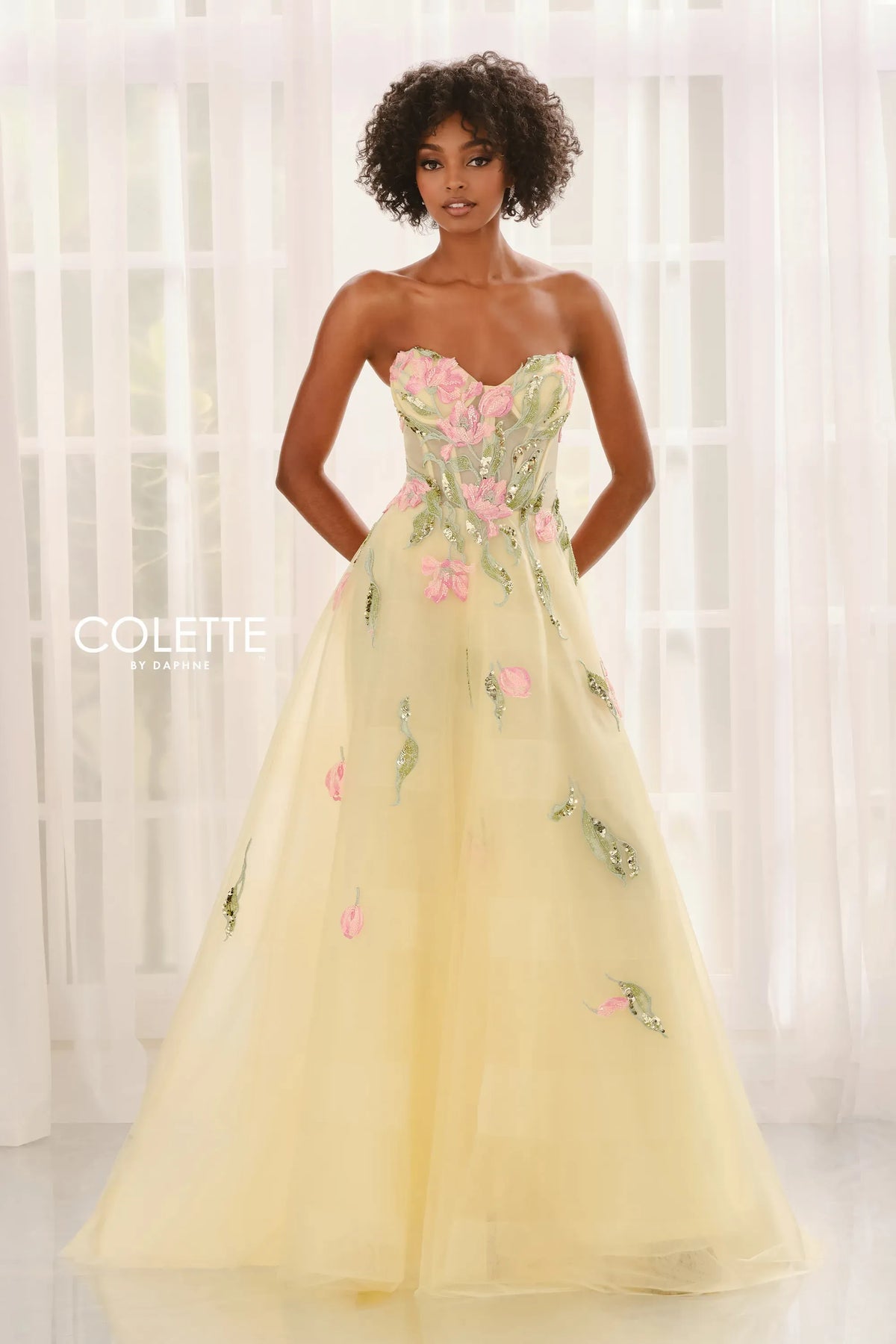 Fairytale Organza Floral Applique Ball Gown