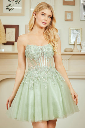 Iridescent Applique Corset Back Short Dress
