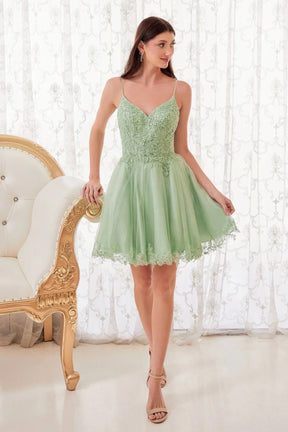 Sequin Bodice Short A-Line Dress