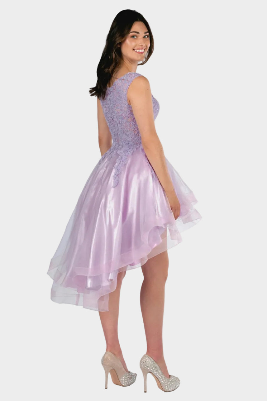 Embroidered Layered Tulle Hi-Lo Dress