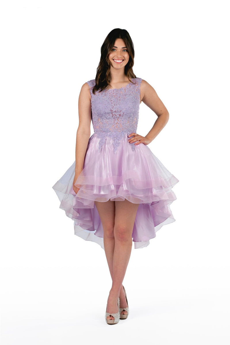 Embroidered Layered Tulle Hi-Lo Dress | Lizzy's by Cathy Allan