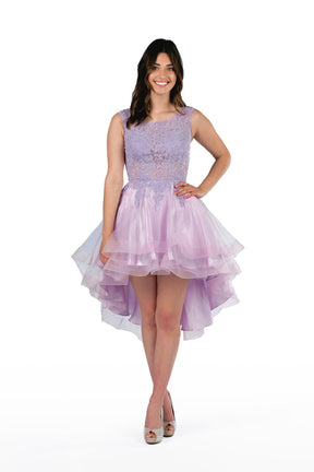 Embroidered Layered Tulle Hi-Lo Dress