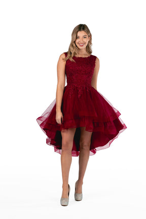 Embroidered Layered Tulle Hi-Lo Dress