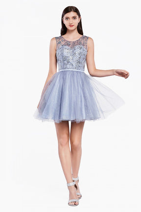 Glitter Tulle Short Dress