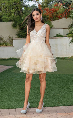 Sparkle Applique Dress With Layered Tulle Skirt