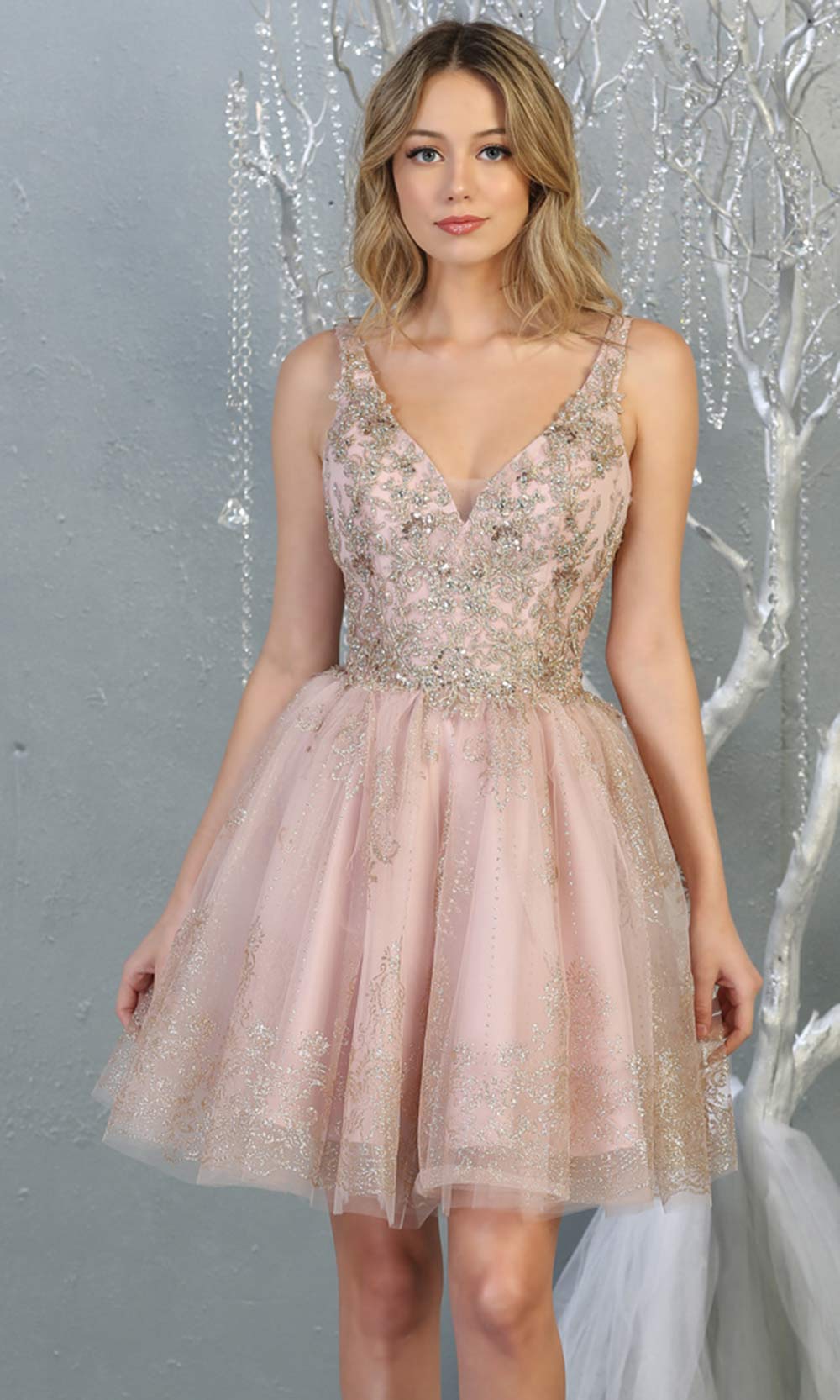 Sparkle Embroidered Lace Applique Short Dress